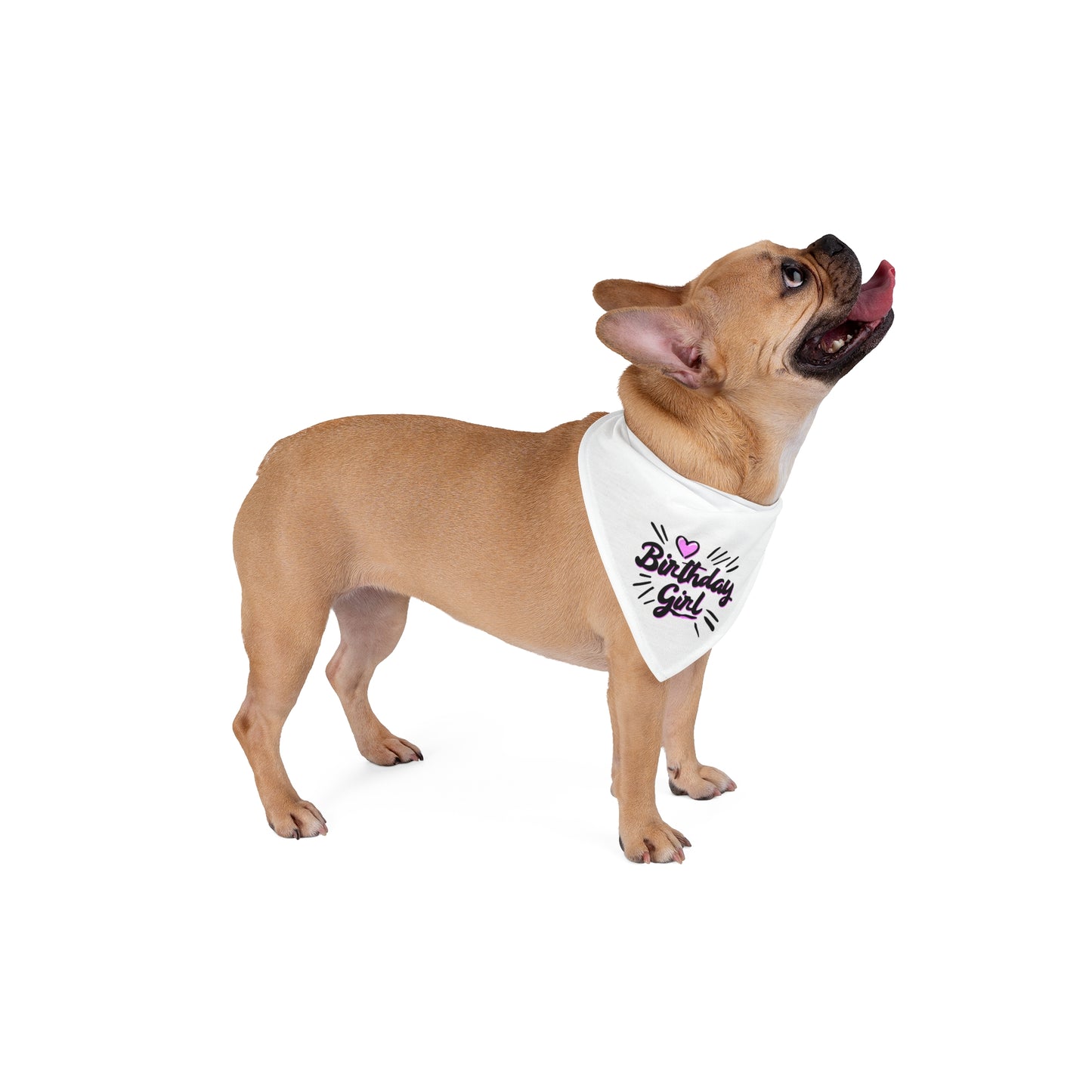 Birthday Girl Pet Bandana
