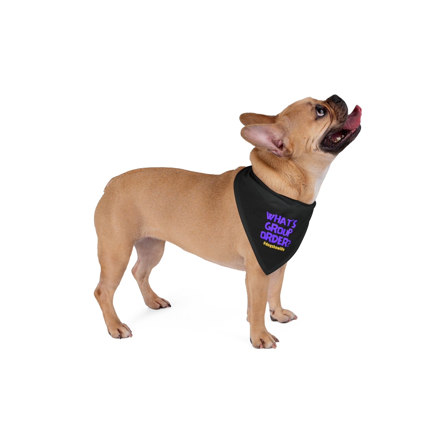 What’s Group Order Dog Show Pet Bandana