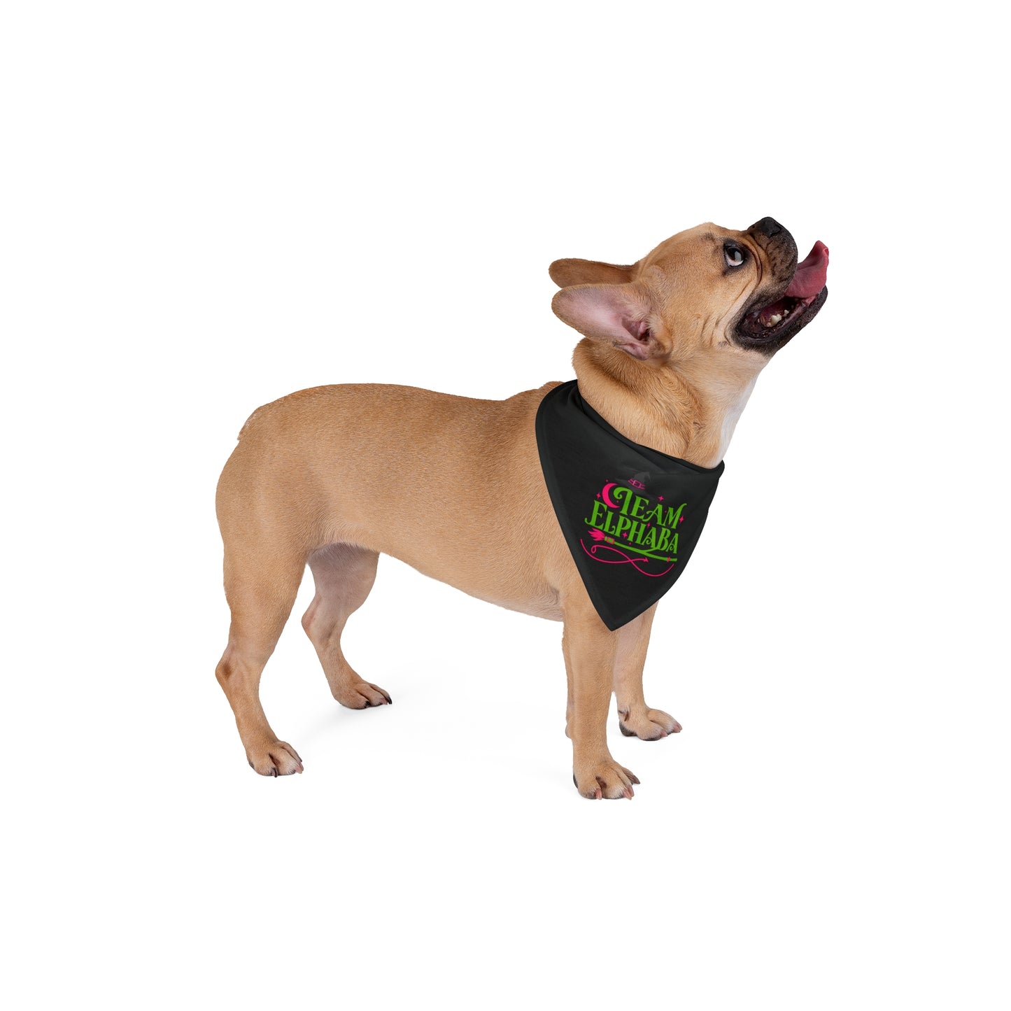 Team Elphaba- Wicked Pet Bandana