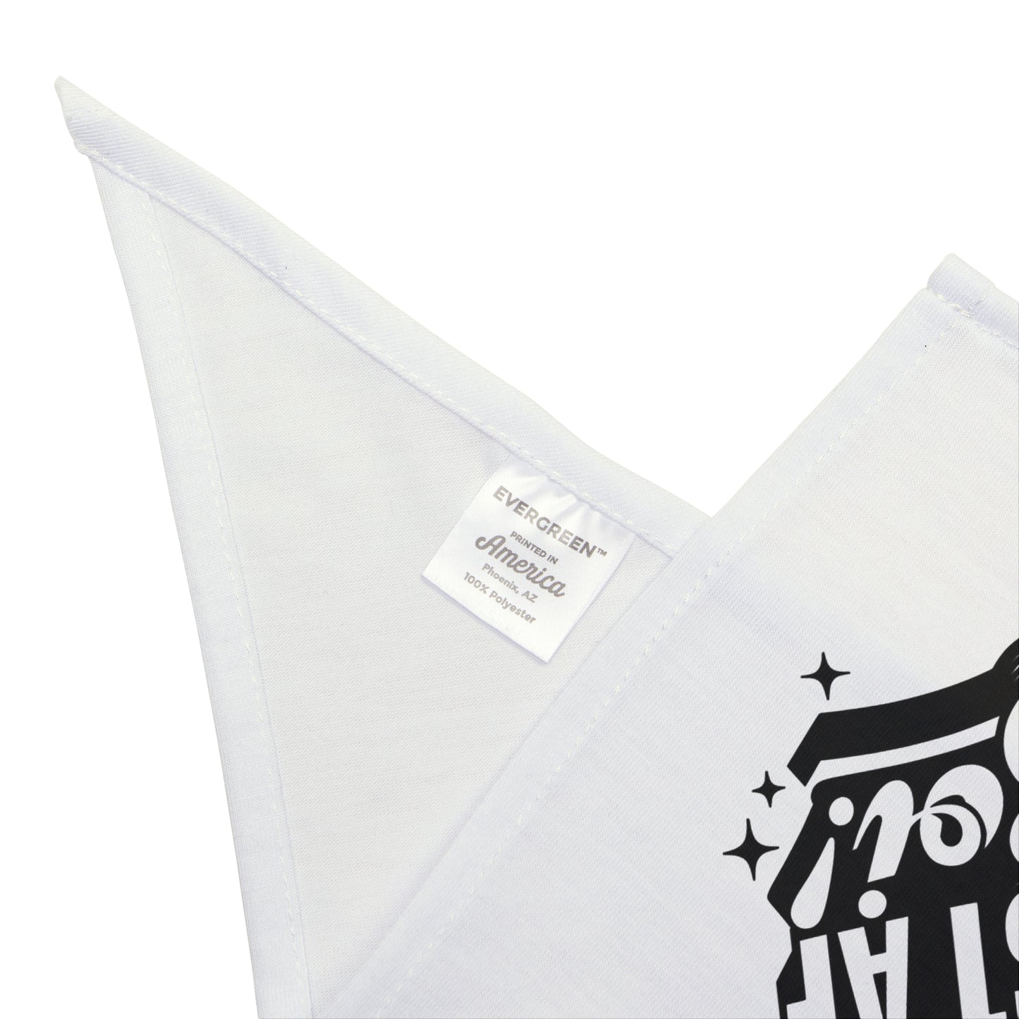 Funny FASTCAT Dog Bandana