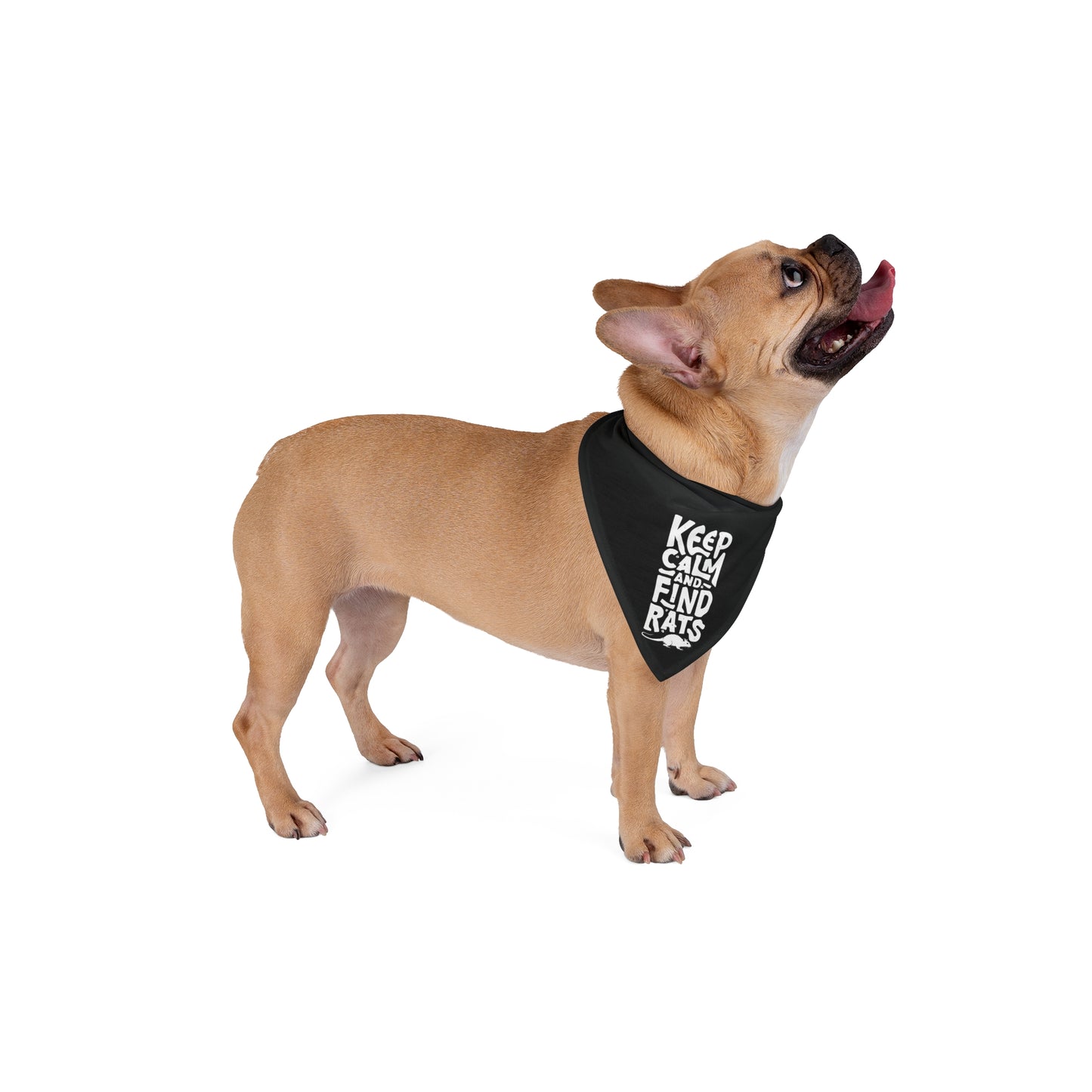 Funny Barn Hunt Pet Bandana "Keep Calm And Find Rats"