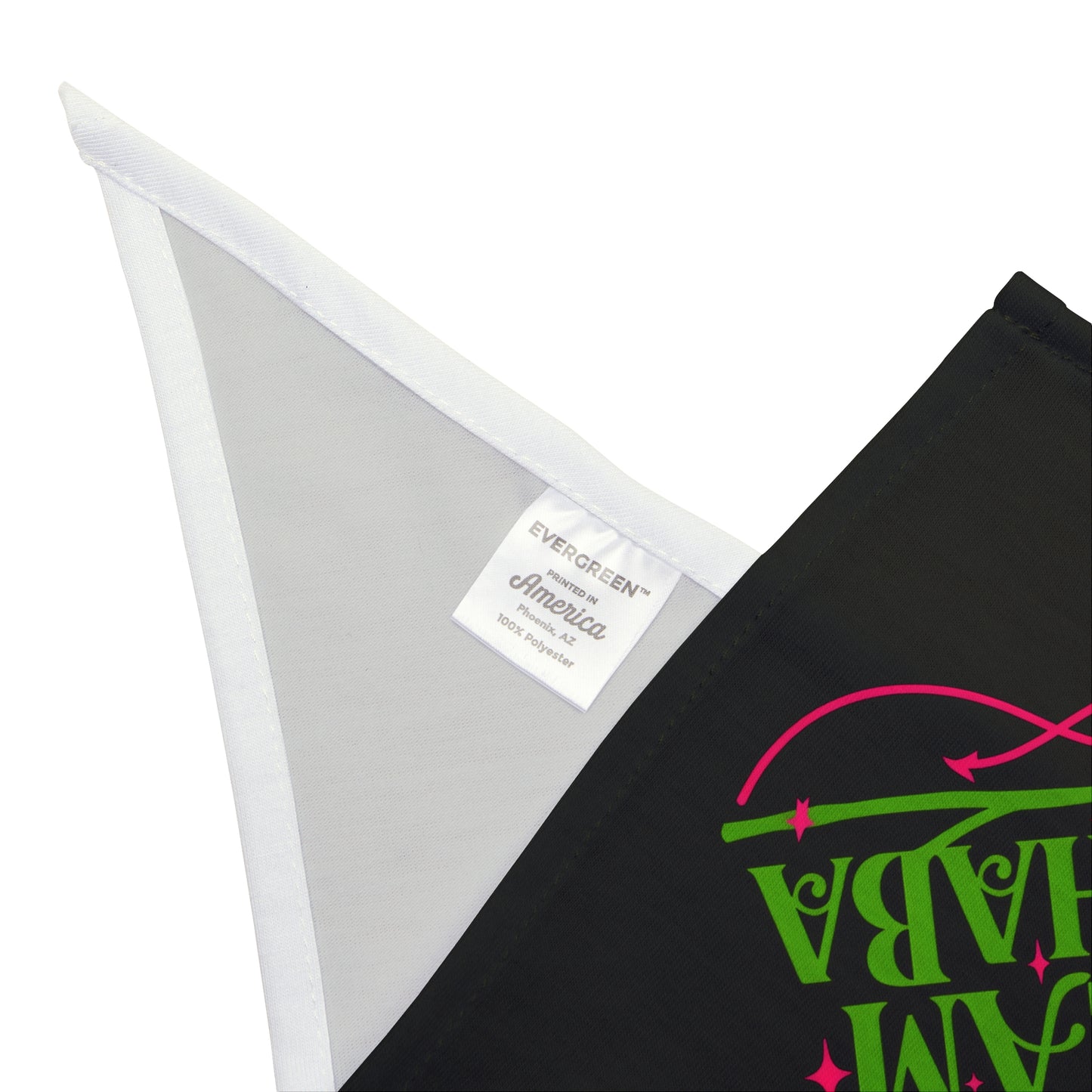 Team Elphaba- Wicked Pet Bandana