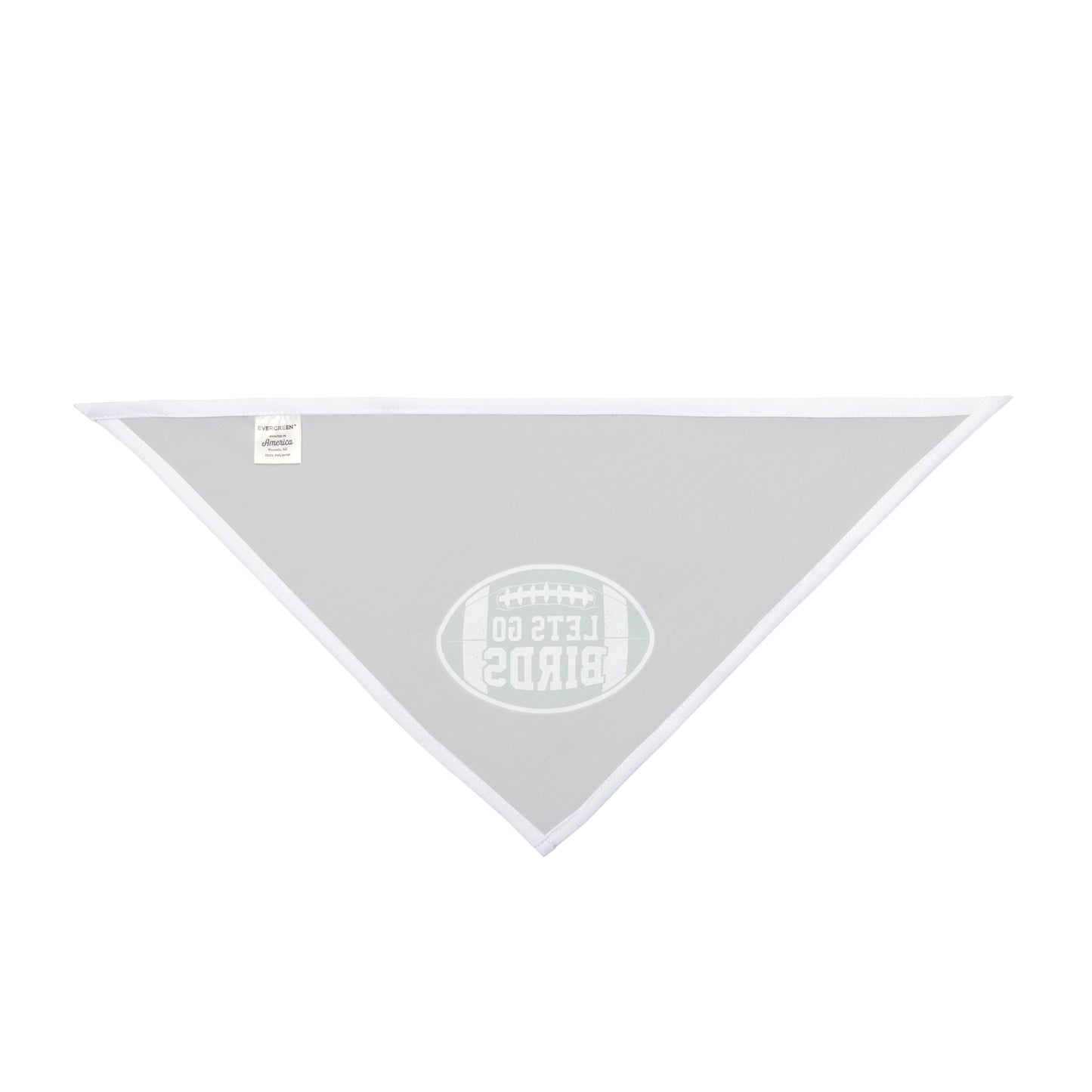 Let's Go Birds- EaglesPet Bandana