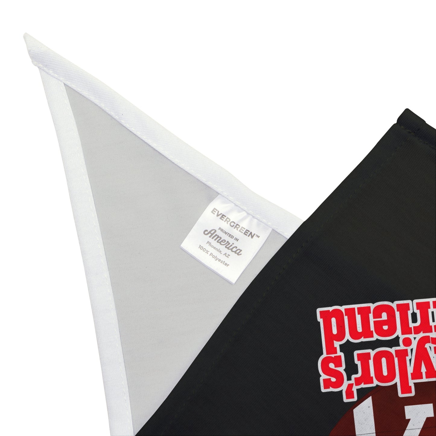 NFL SWIFTIE Pet Bandana "Go Taylor's Boyfriend" 87