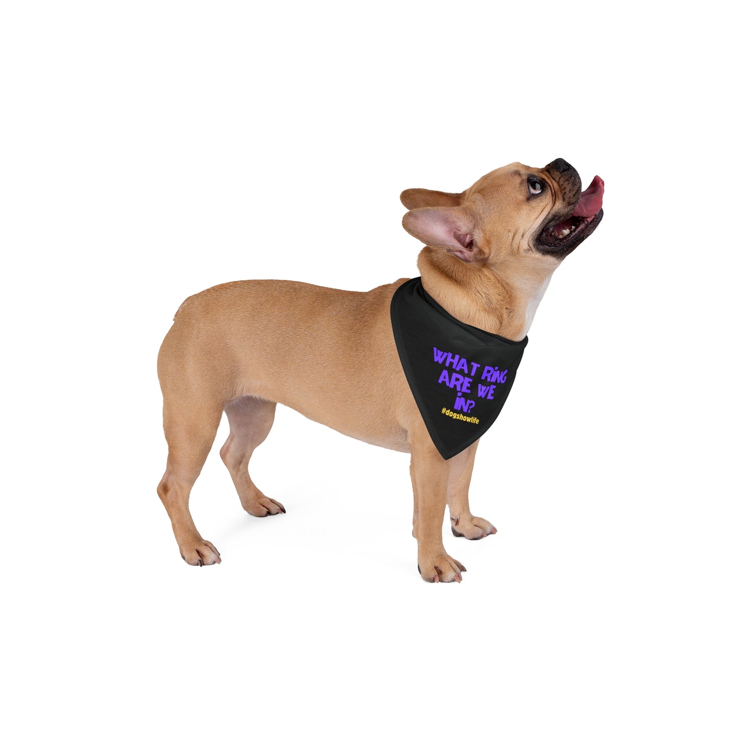 What ring? Dog show Pet Bandana