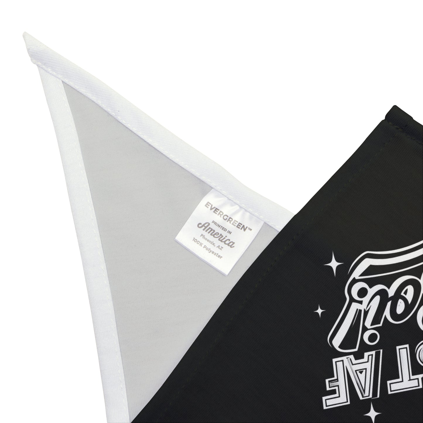 Funny FASTCAT Dog Bandana