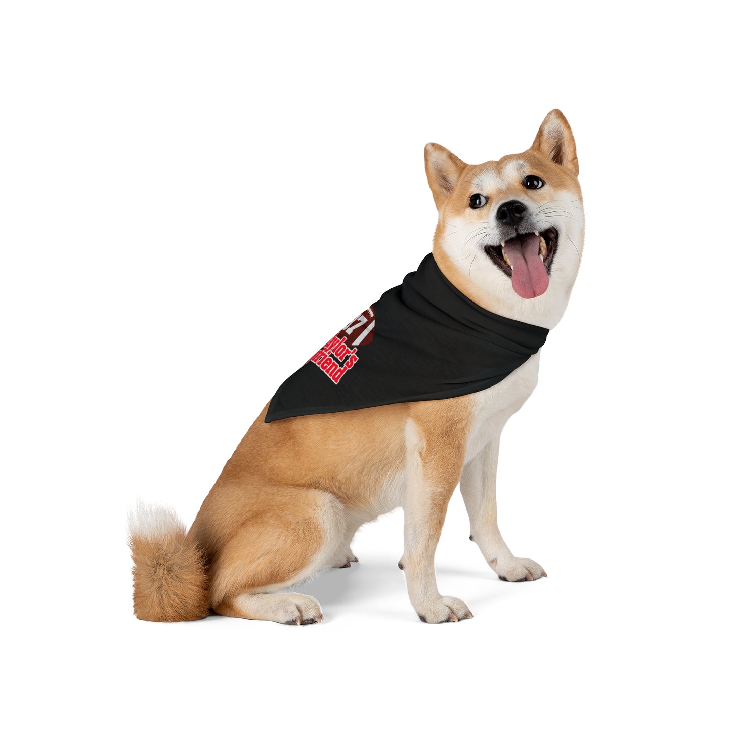 NFL SWIFTIE Pet Bandana "Go Taylor's Boyfriend" 87