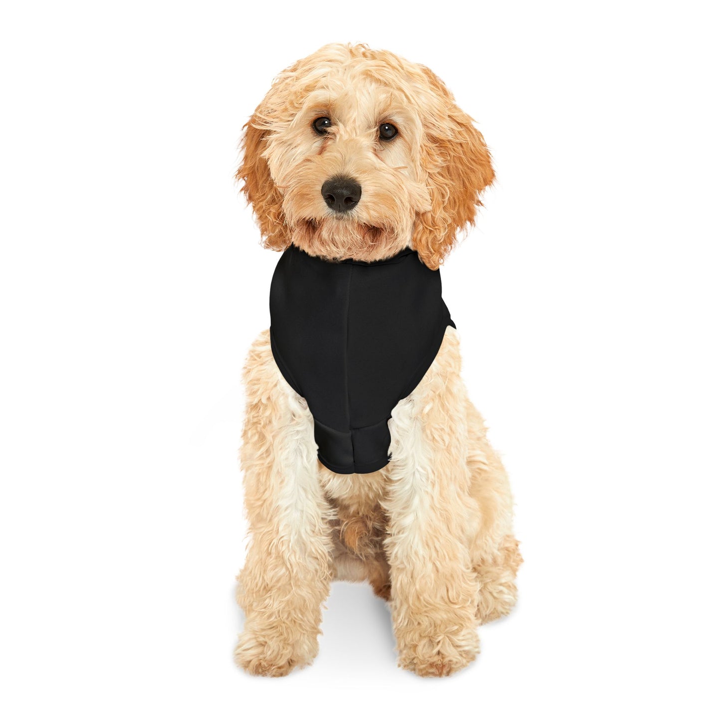 Cristy B Comedy Stylish Pet Hoodie