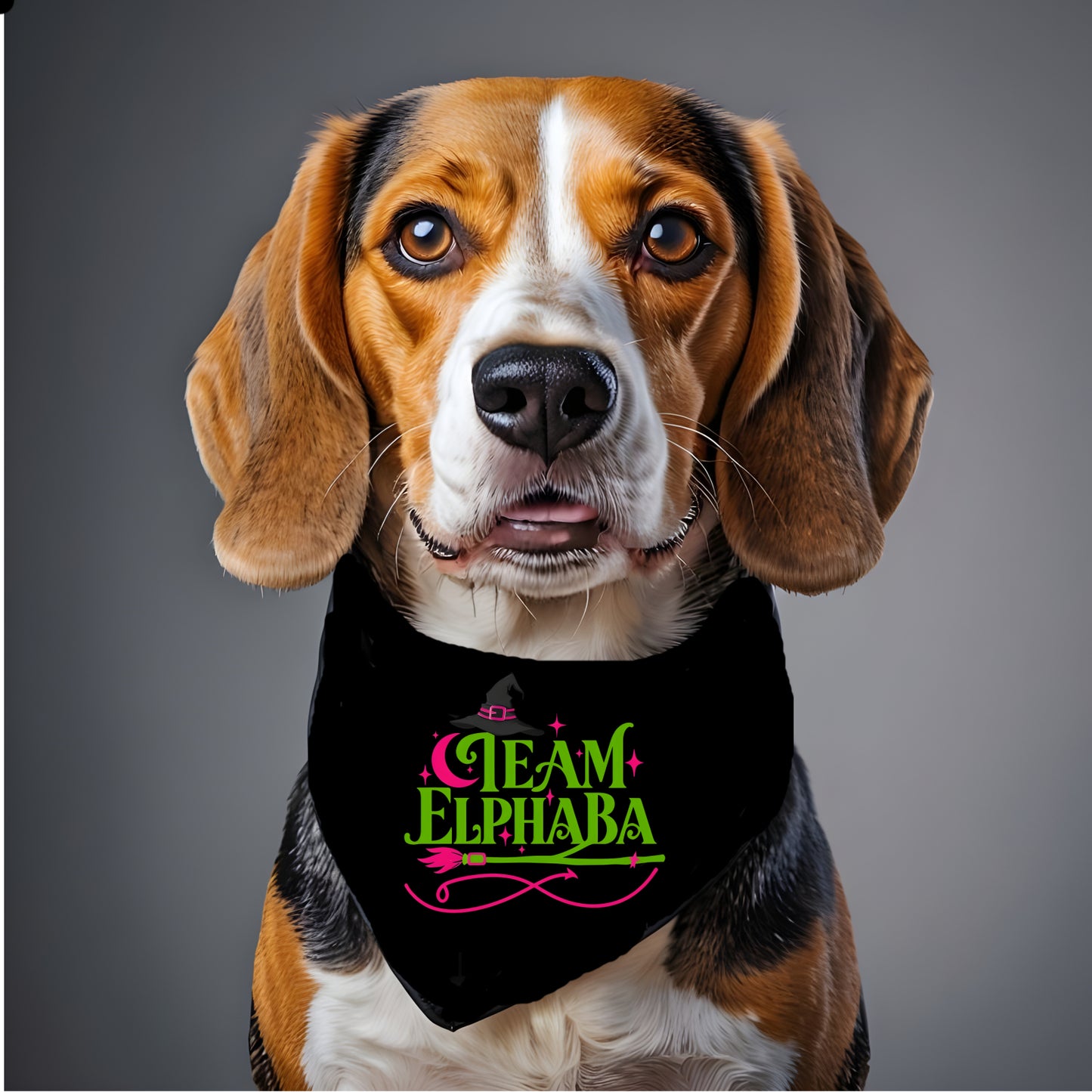 Team Elphaba- Wicked Pet Bandana
