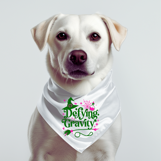 Defying Gravity Wicked Pet Bandana