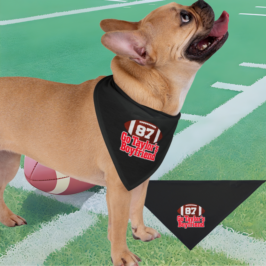 NFL SWIFTIE Pet Bandana "Go Taylor's Boyfriend" 87