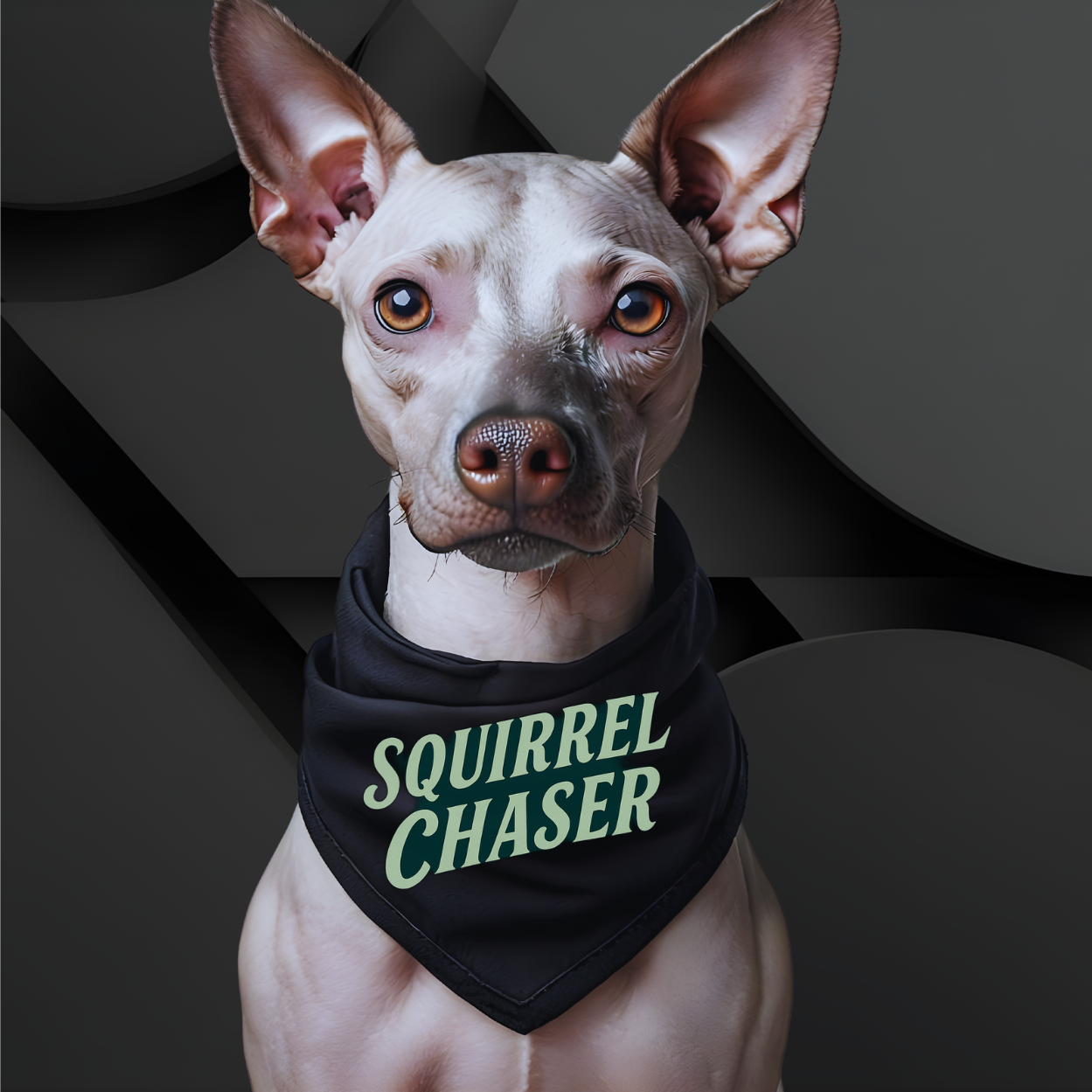 Squirrel Chaser Pet Bandana - Fun Accessory for Playful Pets