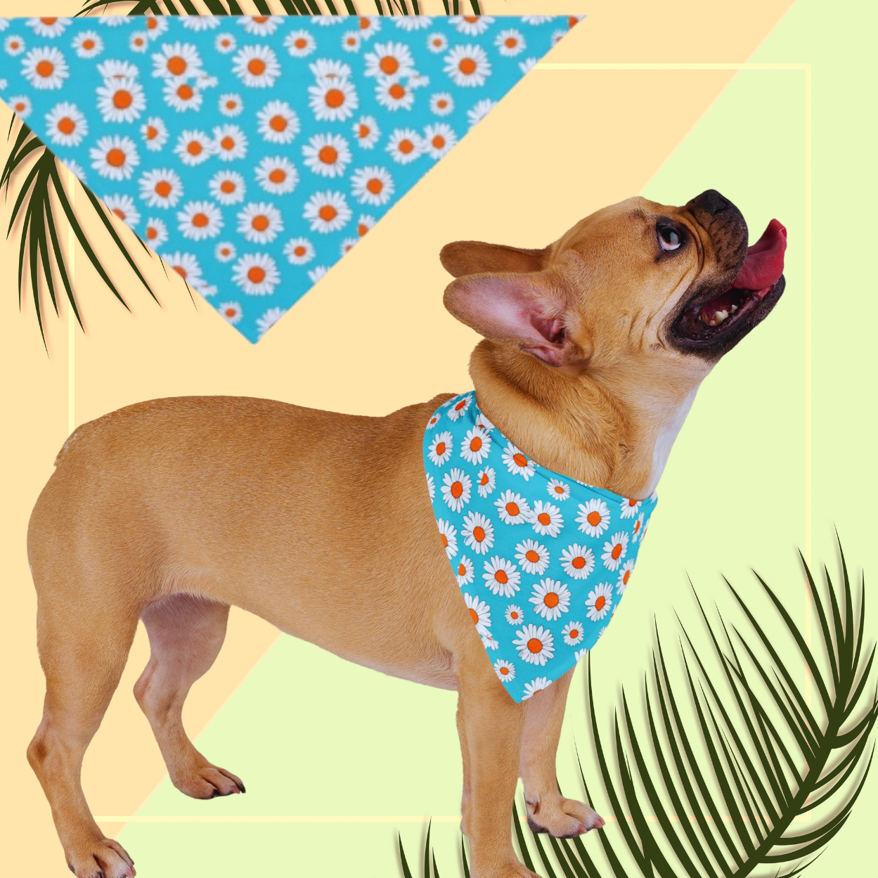 Daisy Pet Bandana - Floral Dog Accessory for Spring & Summer
