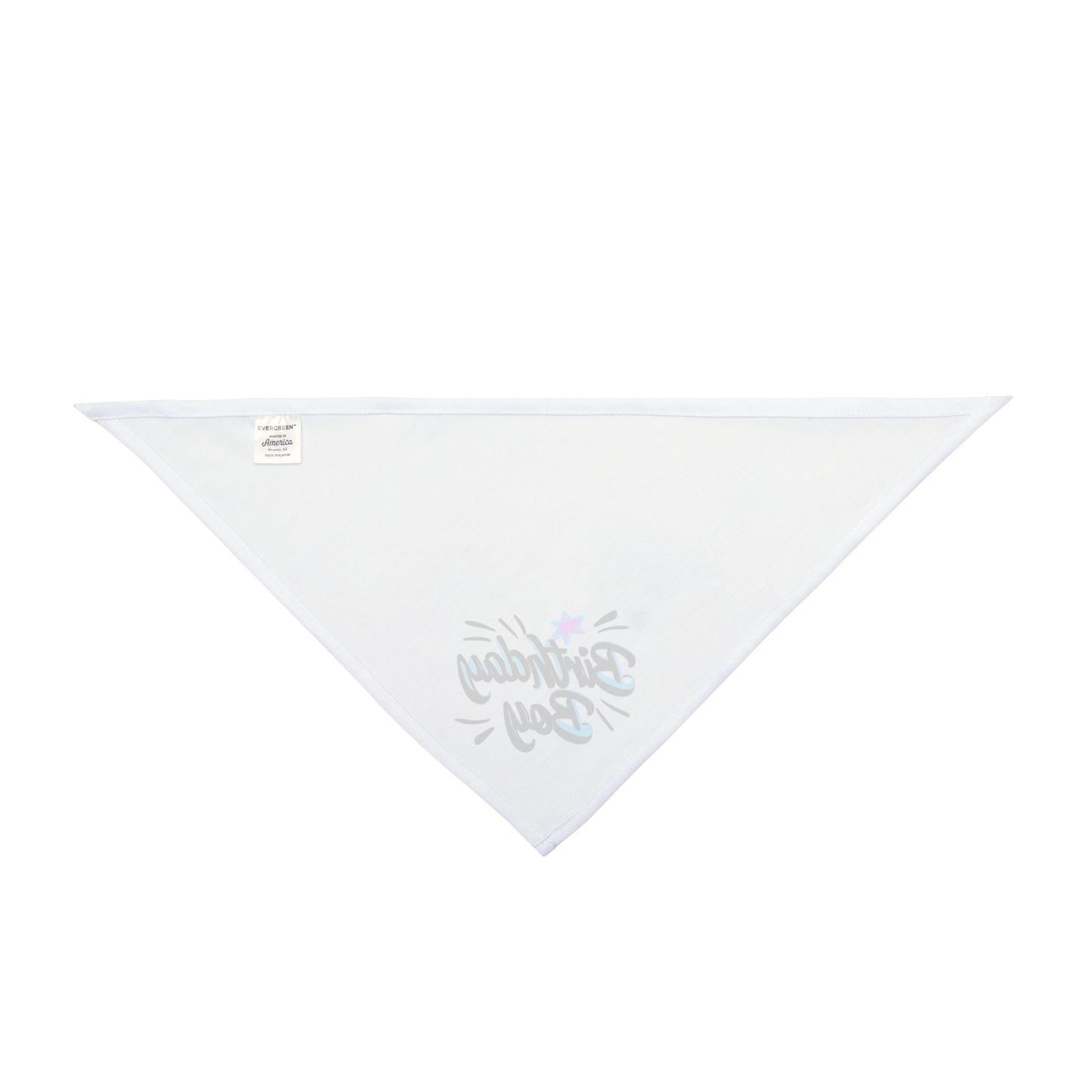 Birthday Boy Pet Bandana