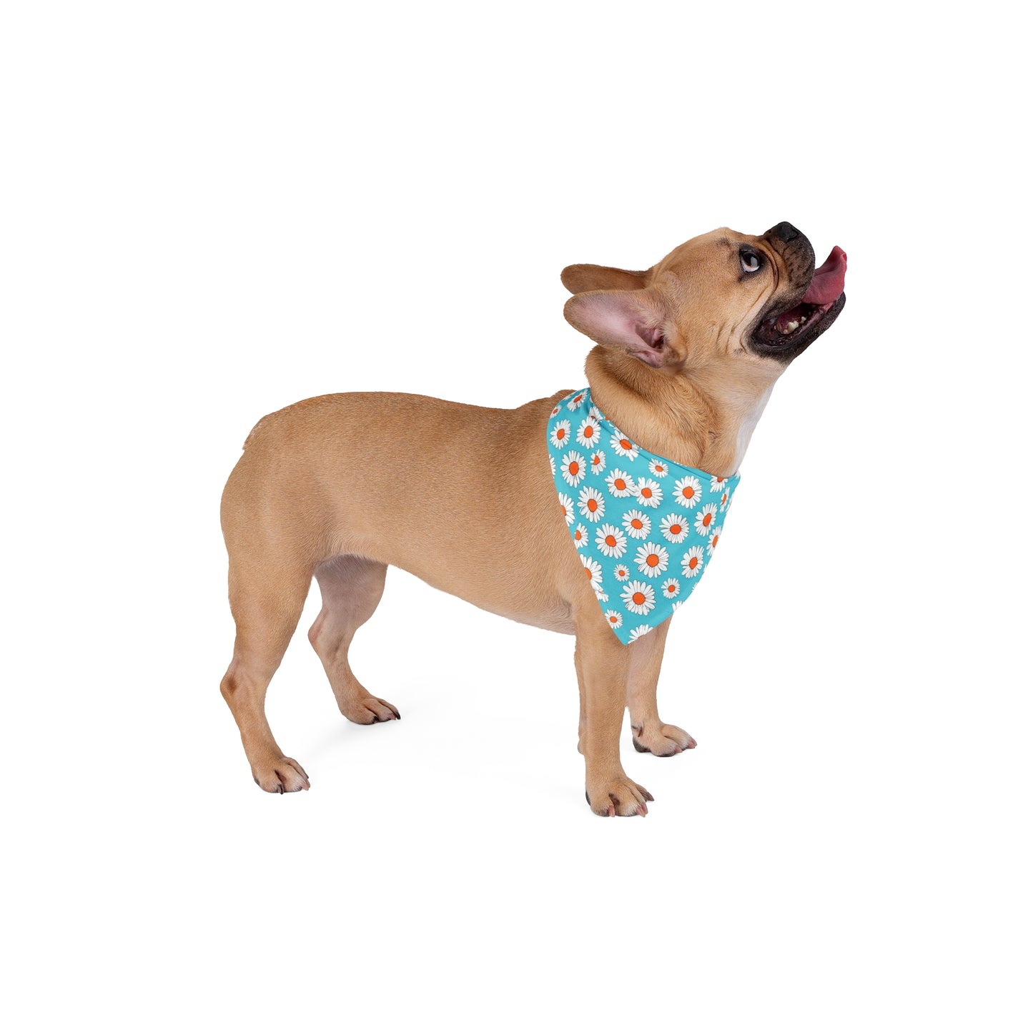 Daisy Pet Bandana - Floral Dog Accessory for Spring & Summer