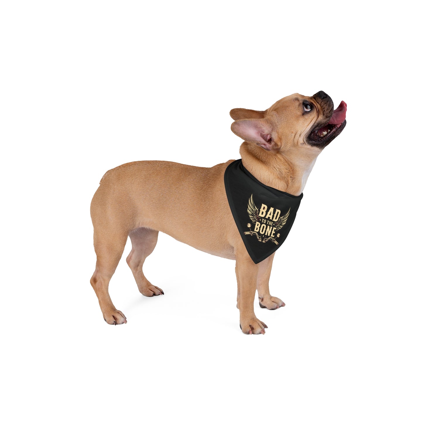 Bad to the Bone Pet Bandana - Cool Dog Accessory for Pets