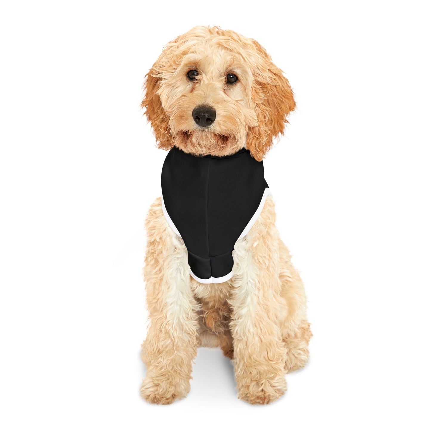 Cristy B Comedy Stylish Pet Hoodie