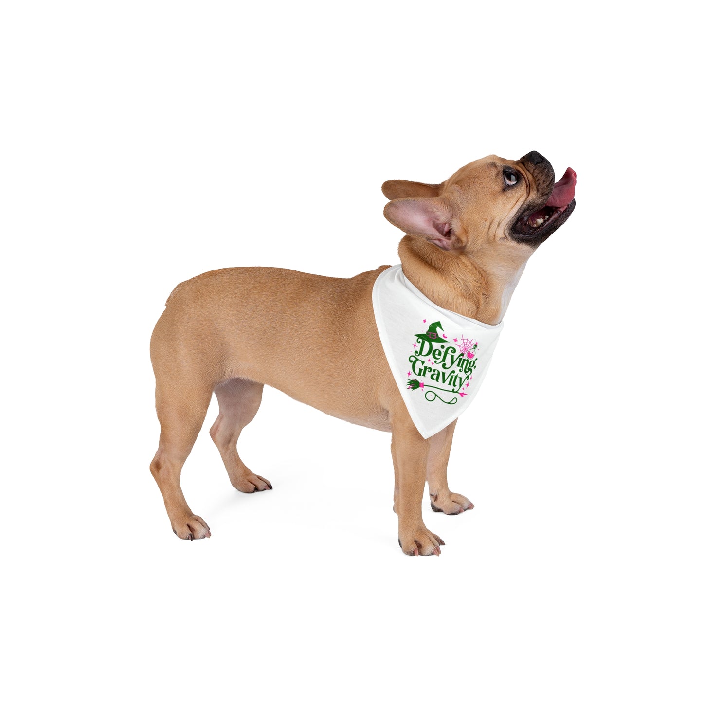 Defying Gravity Wicked Pet Bandana
