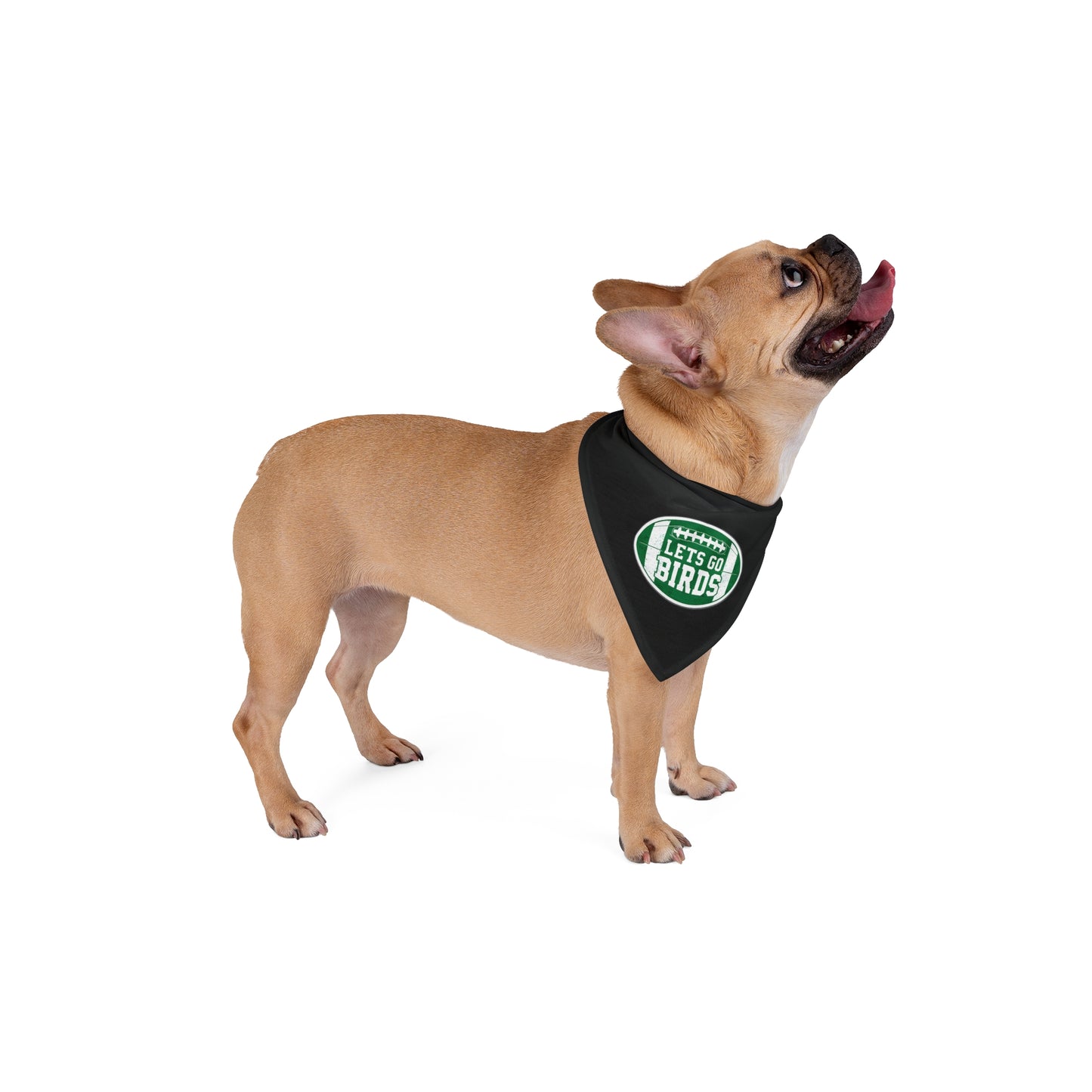 Let's Go Birds- EaglesPet Bandana
