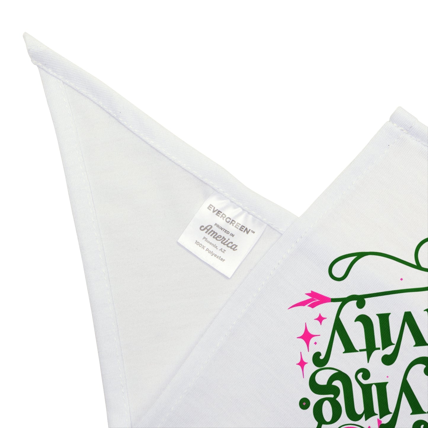 Defying Gravity Wicked Pet Bandana