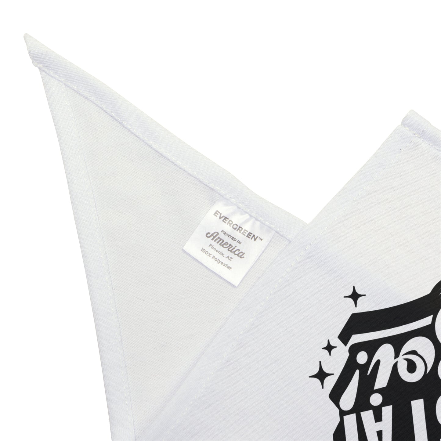 Funny FASTCAT Dog Bandana