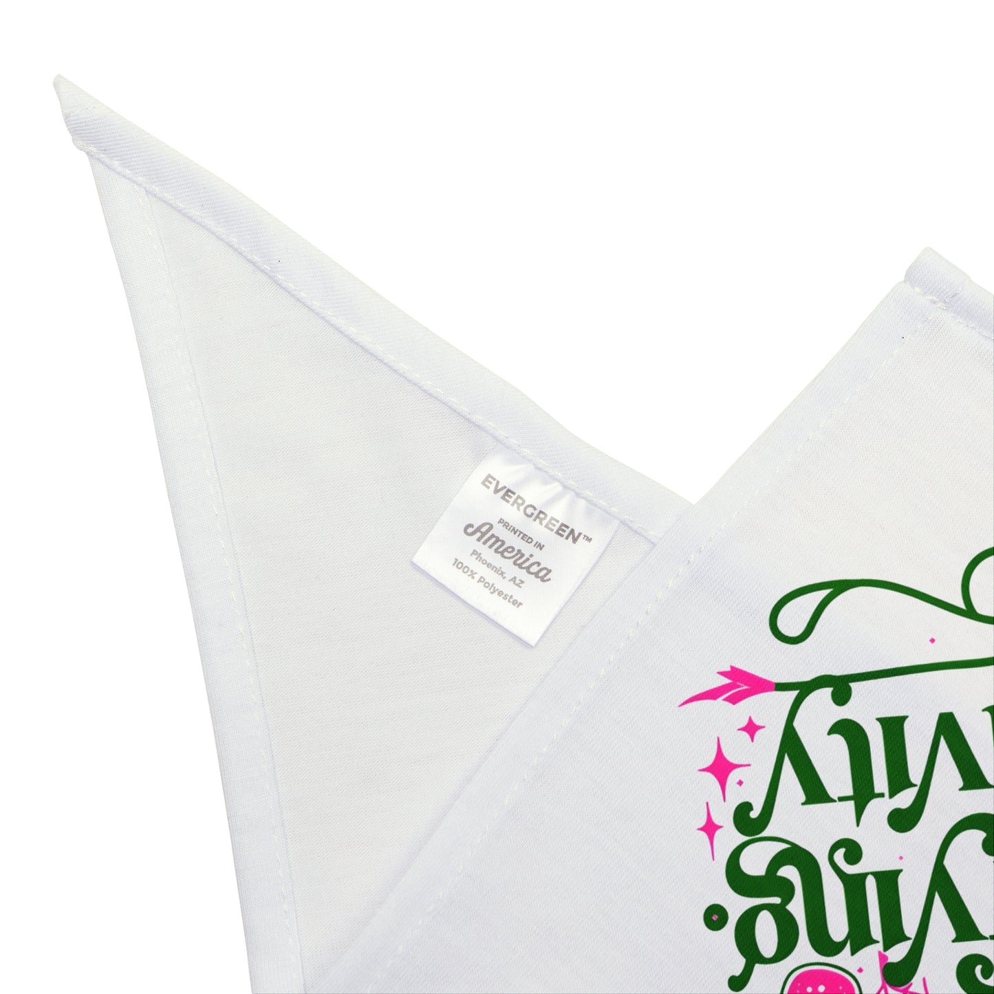 Defying Gravity Wicked Pet Bandana