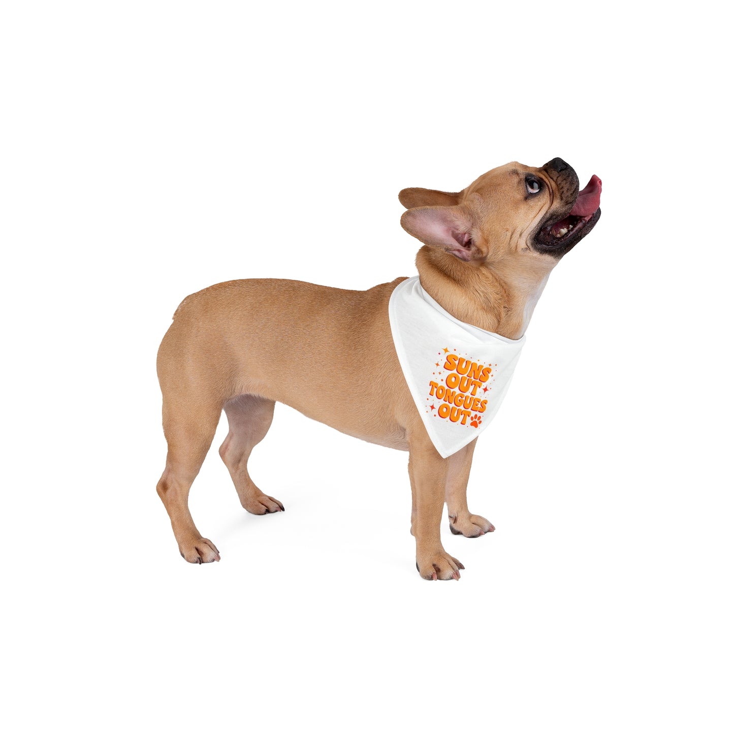 Summer Pet Bandana - 'Suns Out Tongues Out'