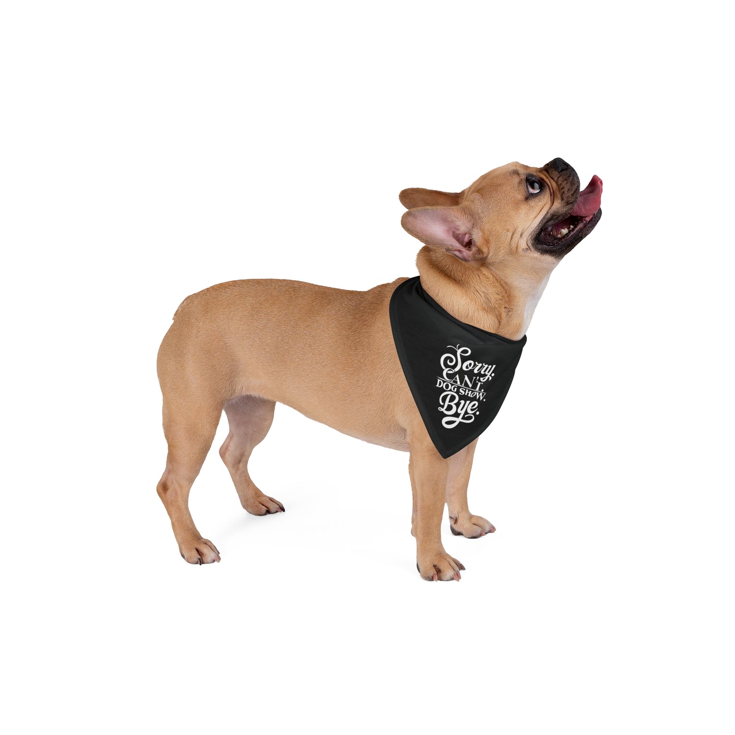 Funny Dog Show Pet Bandana