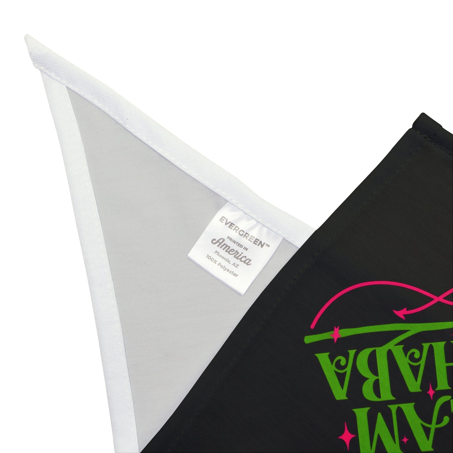 Team Elphaba- Wicked Pet Bandana