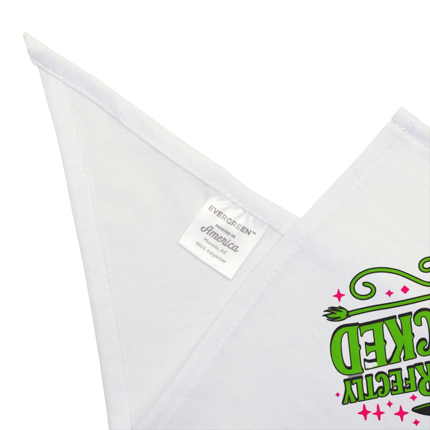 Perfectly Wicked- Pet Bandana