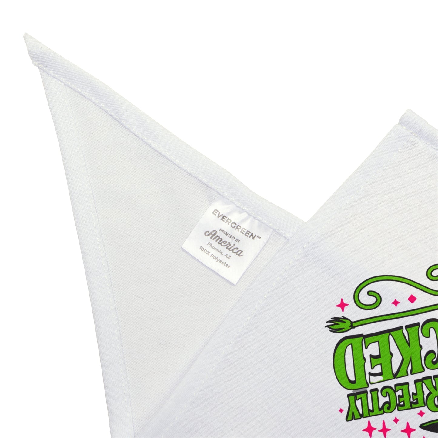 Perfectly Wicked- Pet Bandana