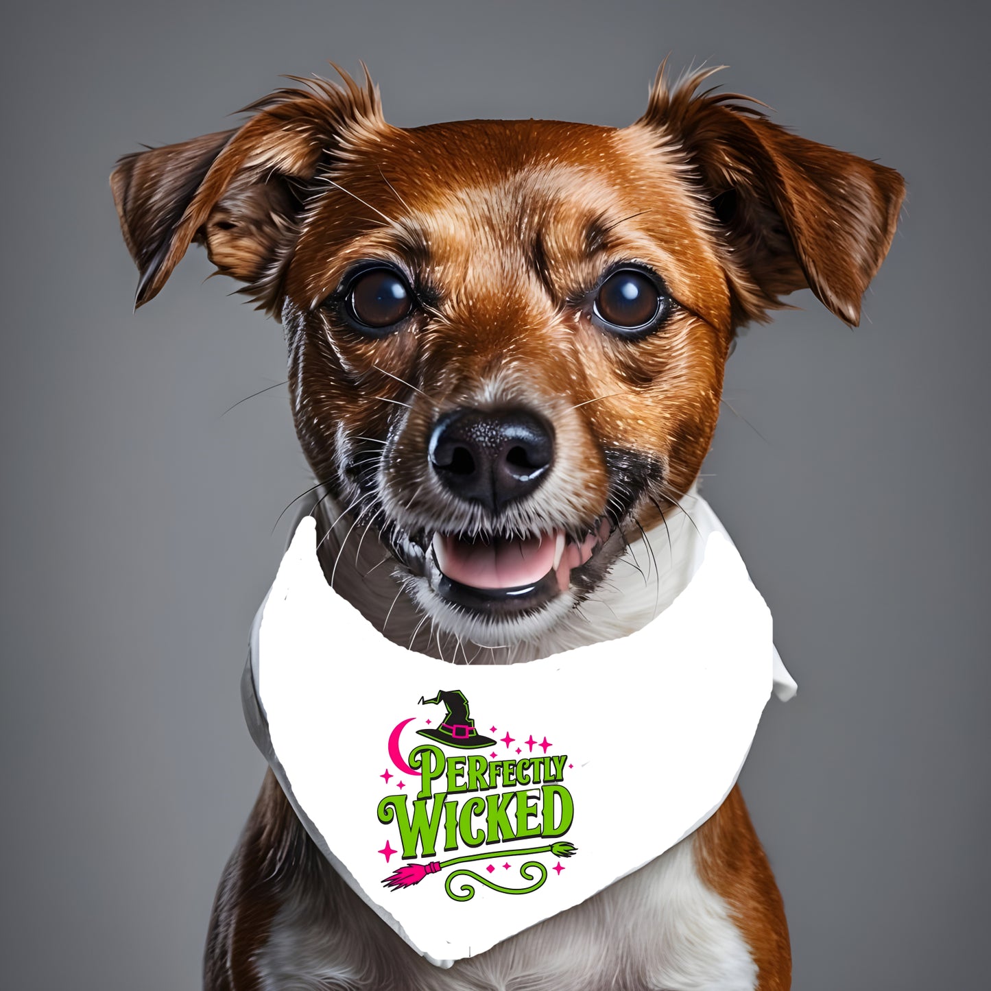 Perfectly Wicked- Pet Bandana