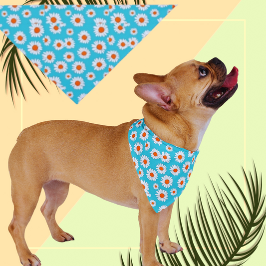 Daisy Pet Bandana - Floral Dog Accessory for Spring & Summer