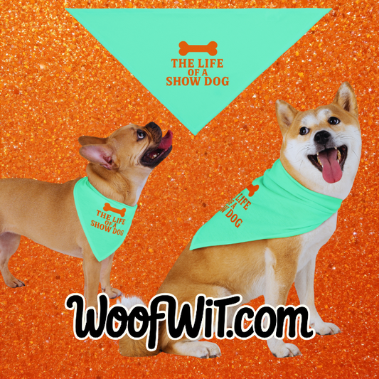 Pet Bandana