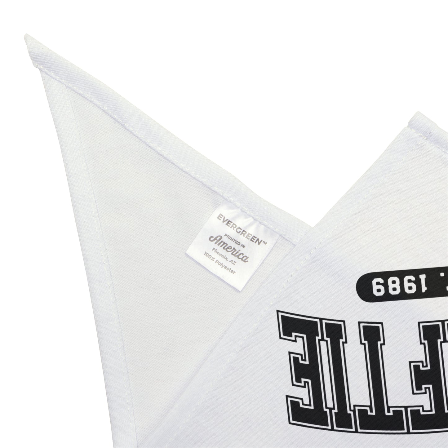 SWIFTIE Pet Bandana