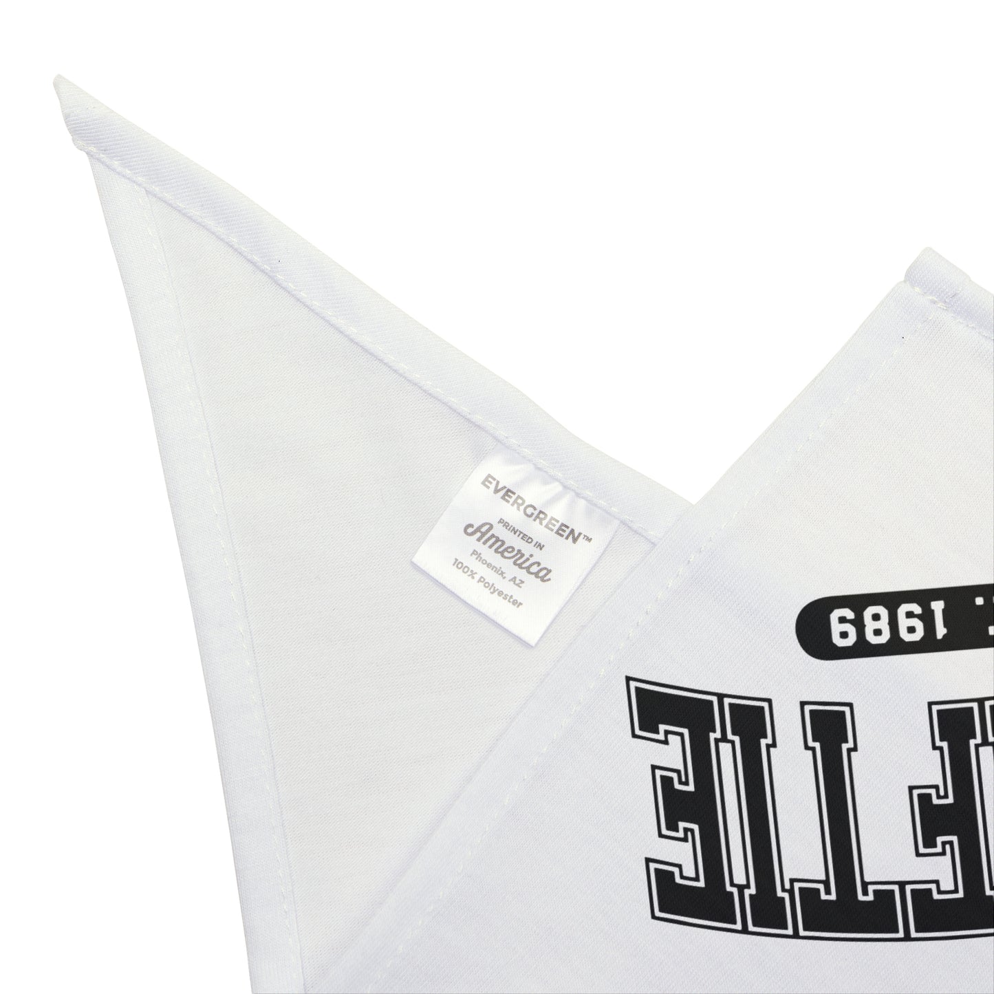SWIFTIE Pet Bandana